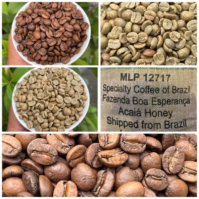 《老巴傳奇咖啡：巴西 米納斯吉拉斯州 好望角莊園 Acaia 阿卡依 珍稀品種 蜜處理咖啡：🌞陽光蜜果🍬》3