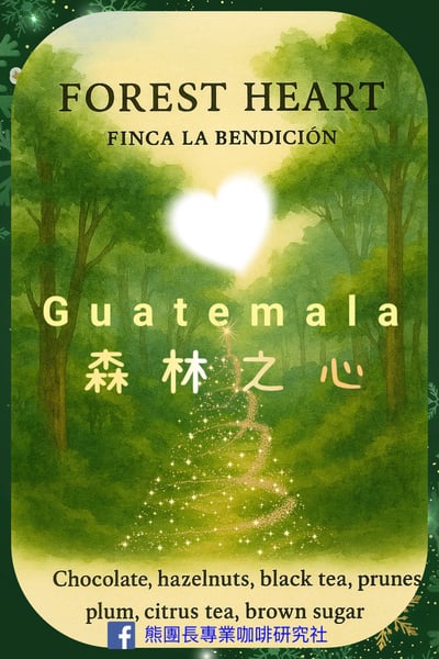 2026春意盎然咖啡福袋優惠｜春夏秋冬『四款』特色咖啡熟豆 (限量款)11