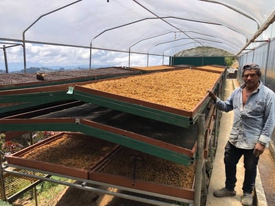 《超級大師咖啡系列：哥斯大黎加  西部谷地 Finca Santa Lucia 聖塔露西亞莊園 Kenia San Roque 肯尼亞･聖克洛 CoE冠軍品種 厭氧日曬/特色咖啡 --果燃繽紛》3