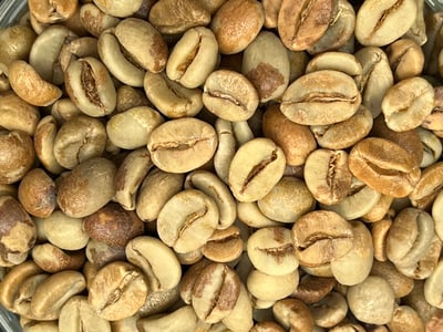 《★CoE卓越杯系列★：瓜地馬拉 聖馬科斯 Finca El Platanillo 普拉塔尼洛莊園 水果炸彈 黑果皮日曬特色咖啡☀》9