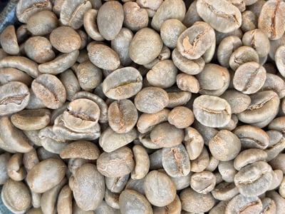 《極致品味系列：哥倫比亞 薇拉省/阿瓜布蘭卡 🍑桃花語🌺 特色水洗咖啡》7