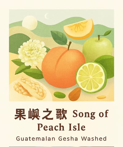 《藝伎之寶咖啡：瓜地馬拉 新東方/卡斯卡哈爾莊園 🍑果嶼之歌🎵 Geisha藝伎/瑰夏水洗》1