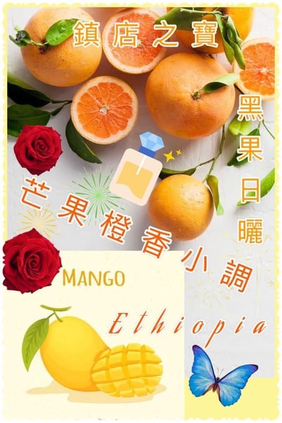 鎮店之寶咖啡｜ 衣索比亞 Yirgacheffe 耶加雪菲 Koke Shalaye Wet Mill 科卡/莎菈耶處理站 黑果日曬批次Gr. 1 芒果橙香小調2