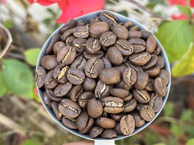 歡慶母親節優惠咖啡｜衣索比亞+馬拉威 藝伎Geisha 咖啡熟豆 買一送一大優惠6