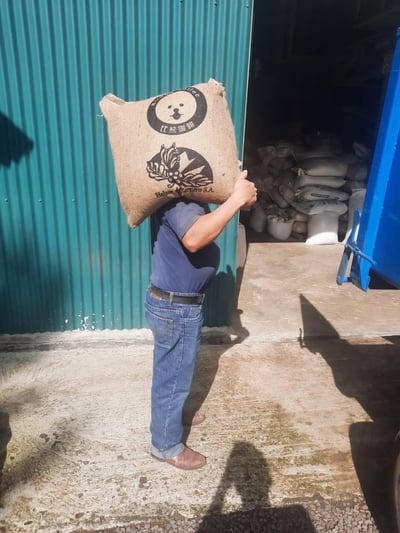 《超級大師咖啡系列：哥斯大黎加  西部谷地 Finca Santa Lucia 聖塔露西亞莊園 Kenia San Roque 肯尼亞･聖克洛 CoE冠軍品種 厭氧日曬/特色咖啡 --果燃繽紛》7