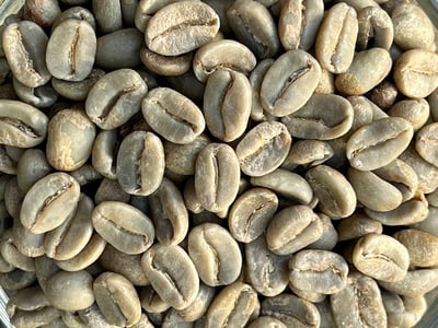 《快樂島特色咖啡系列：巴布亞新幾內亞 Eastern Highlands 東部高地 Moanti Mill 莫安蒂處理站 Typica 鐵皮卡/水洗 ️寶可娜特色咖啡》8