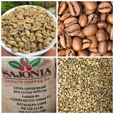 2026迎新咖啡福袋優惠｜春夏秋冬『四款』特色咖啡熟豆 (限量款)6