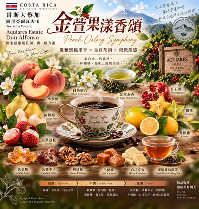 《非喝不可系列：哥斯大黎加 圖里亞爾瓦火山 阿奎亞雷斯 🌷金萱果漾香頌🍑 水洗特色咖啡》2