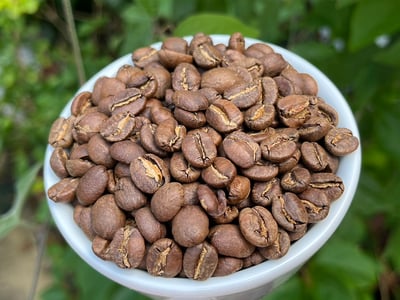 《一代宗師/真功夫咖啡系列：肯亞 Nyeri 涅里 魯吉農民合作社 Giathugu Factory 賈圖古處理廠 88高分首選 AA TOP 水洗咖啡微型批次》9