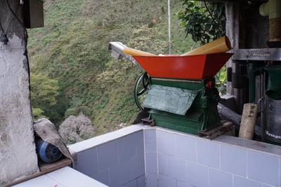 《安地斯花蝶系列：哥倫比 Tolima 托利馬 El Diamante 鑽石莊園 玫瑰波旁 水洗特色咖啡—胭脂芙蓉 微量批次 原產地真空包裝》6