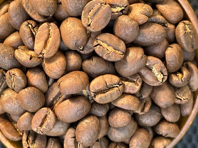 典藏家咖啡系列｜A1頂規 盧安達 北部省 Mbilima CWS 姆比利瑪水洗站/ 咖啡之家合作社 CoE得獎常勝軍 超高海拔2200m 紅波旁 1904客製化 水洗特色咖啡—夜來香6