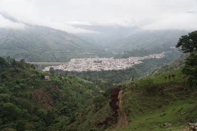 安地斯花蝶系列｜哥倫比亞 Tolima 托利馬 El Diamante 鑽石莊園 玫瑰波旁 水洗特色咖啡—胭脂芙蓉/微量批次5