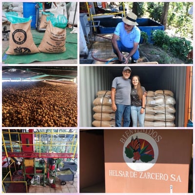 馬年新春｜比熊濾掛式咖啡禮盒20入7