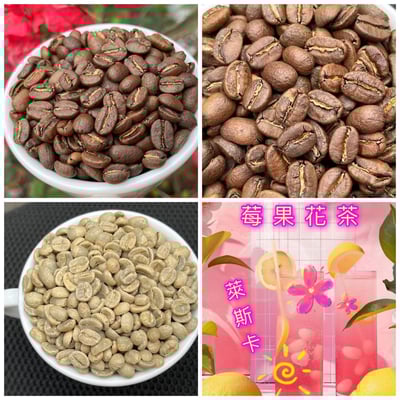 熊團長每月特惠咖啡｜墨西哥 恰帕斯/萊斯卡 莓果花茶 水洗咖啡熟豆 (買一送一)1