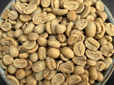 《天空之城系列：祕魯 卡哈馬卡 🥑酪梨之花💐 特色水洗咖啡》7