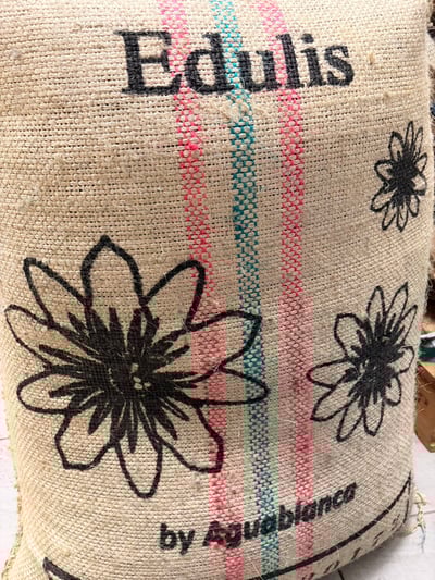 《極致品味系列：哥倫比亞 薇拉省/阿瓜布蘭卡 🍑桃花語🌺 特色水洗咖啡》10