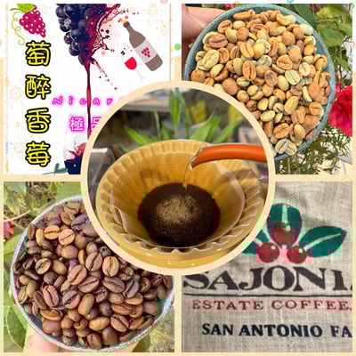 熊團長每月特惠咖啡｜尼加拉瓜 聖安東尼奧莊園 🍇萄醉香莓🍒 酒香日曬咖啡熟豆 (買一送一)1