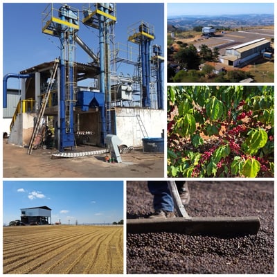 《老巴傳奇咖啡：新產季 巴西 米納斯吉拉斯州 Fazenda Chapadão 查帕鐺莊園 ☀ Icatu日曬咖啡：堅果巧克力森巴》2