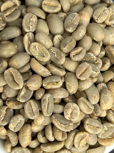 熊團長每月特惠咖啡｜衣索比亞 耶加雪菲 班可•果丁丁 水洗咖啡熟豆 (買一送一)6