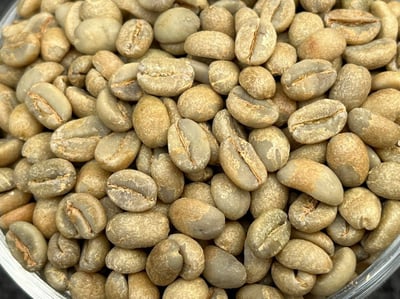 馬到成功藝伎咖啡｜衣索比亞 古吉 千里馬日曬藝伎Geisha 咖啡熟豆買一磅送一磅優惠6