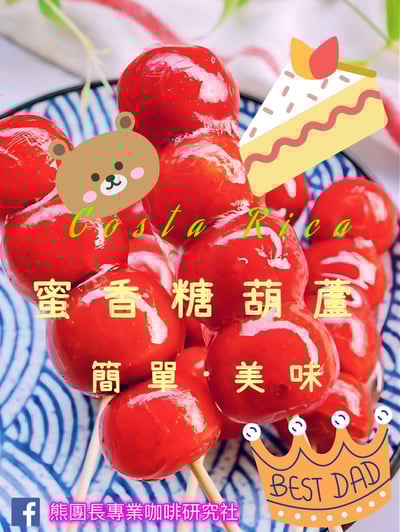 熊團長每月特惠咖啡｜哥斯大黎加 阿奎亞雷斯莊園/蜜香糖葫蘆 水洗咖啡熟豆 (買一送一)2