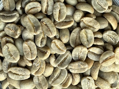 《藝伎之寶咖啡：瓜地馬拉 新東方/卡斯卡哈爾莊園 🍑果嶼之歌🎵 Geisha藝伎/瑰夏水洗》8