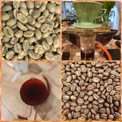 熊團長每月特惠咖啡｜衣索比亞 耶加雪菲 班可•果丁丁 水洗咖啡熟豆 (買一送一)4