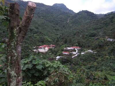 《特色風味咖啡系列： 墨西哥 Chiapas 恰帕斯州 Finca Guadalupe Zaju 瓜達盧佩･扎朱莊園 徳式管理 草莓日曬特色批次—萄莓果凍》8