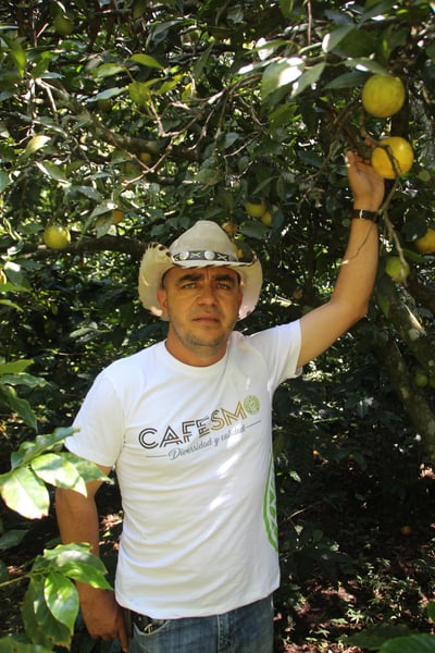 《典藏家系列咖啡：宏都拉斯 奧科特佩克產區 Miraflores 賞花莊園 水洗咖啡—綺麗花神 特色微批次》4