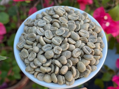 《典藏家咖啡系列：A1頂規 盧安達 北部省 Nkara CWS 恩卡拉水洗站/ 咖啡之家合作社 CoE得獎常勝軍 超高海拔 紅波旁 客製化水洗特色咖啡—夜芙蓉》7