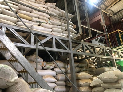 《國寶咖啡系列：哥斯大黎加 西部谷地 聖塔露西亞莊園 🌟維拉薩奇 老爺爺蜜香特色咖啡》5