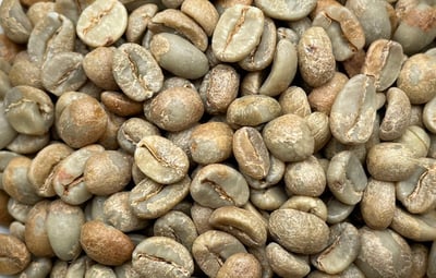 《老司機專屬咖啡：糖果寶貝— 東爪哇島 East Java 阿爾戈普羅火山產區 波瑪斯･瓦利達合作社 紅蜜處理/特色咖啡 Muhlisin Micro Lots》11