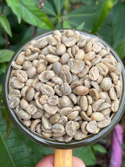 《自然無毒咖啡系列： 秘魯 卡哈馬卡產區 巴羅･尼可洛小鎮 聯合農場 自然農法水洗咖啡 夜百合特色批次》10