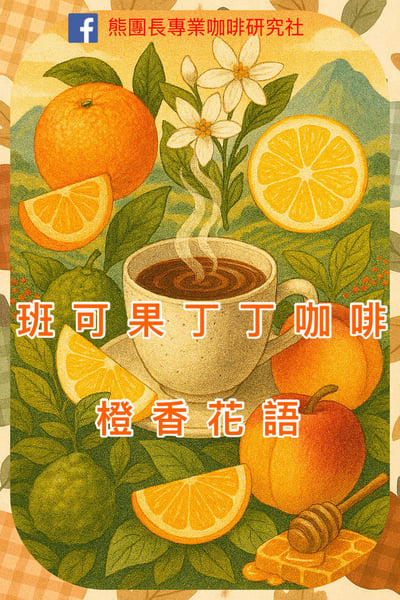 熊團長每月特惠咖啡｜衣索比亞 耶加雪菲 班可•果丁丁 水洗咖啡熟豆 (買一送一)2