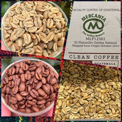 耶誕跨年派對｜Geisha藝伎/瑰夏 咖啡熟豆買一送一優惠組合 (再享免運)4