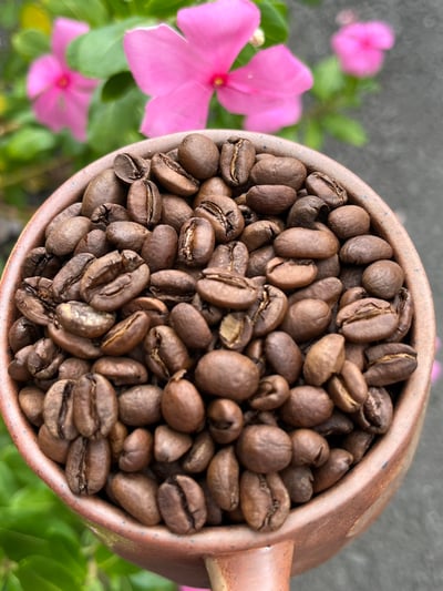 熊團長每月特惠咖啡｜衣索比亞 古奇/罕貝拉 布穀雪依莎 G1 水洗咖啡熟豆 (買一送一)5