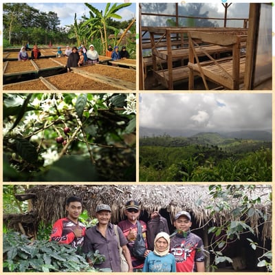 馬年新春｜比熊濾掛式咖啡禮盒20入9