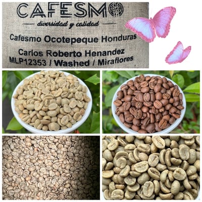 熊團長每月特惠咖啡｜宏都拉斯 奧科特佩克/賞花莊園 雋永花神 水洗咖啡熟豆 (買一送一)1