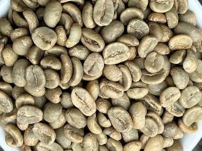 《典藏家系列咖啡：宏都拉斯 奧科特佩克產區 Miraflores 賞花莊園 水洗咖啡—綺麗花神 特色微批次》7