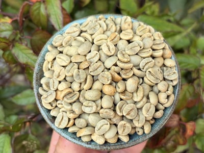 《獨門絕招咖啡系列：墨西哥 恰帕斯/錢珠爾莊園 🍒星莓之光🌟 雙重發酵水洗特色咖啡》7