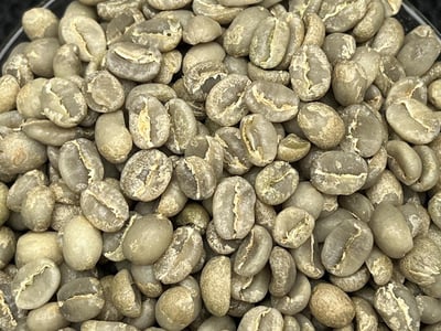 《鎮店之寶咖啡系列： 衣索比亞 Yirgacheffe 耶加雪菲 格賽/貝尤處理廠 遮陰乾燥 水洗批次Gr. 1—74110單一品種 冬莓紅露小調微批次》6