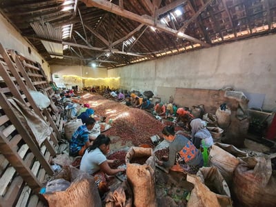 《老司機專屬咖啡：糖果寶貝— 東爪哇島 East Java 阿爾戈普羅火山產區 波瑪斯･瓦利達合作社 紅蜜處理/特色咖啡 Muhlisin Micro Lots》5