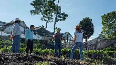 《特色風味咖啡系列： 墨西哥 Chiapas 恰帕斯州 Finca Guadalupe Zaju 瓜達盧佩･扎朱莊園 徳式管理 草莓日曬特色批次—萄莓果凍》9