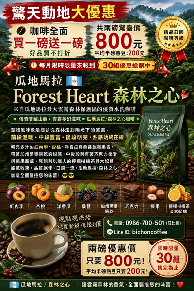熊團長每月特惠咖啡｜瓜地馬拉 祝福莊園 ✨森林之心 水洗咖啡熟豆 (買一送一)2