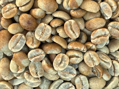 《極致本位咖啡系列：哥斯大黎加 西部谷地 Naranjo 橘郡 聖塔露西亞莊園/赫爾莎處理廠 波旁與鐵皮卡系 熊團專屬客製化—黑蜜咖啡 Black Honey—熊蓋甜》8