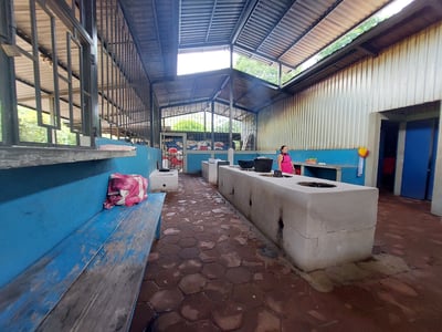 巨型特色咖啡系列｜尼加拉瓜 Jinotega 希諾特佳 El Renacer 雷納瑟莊園 馬拉卡杜拉/巨型品種 精緻水洗 大象跳舞5