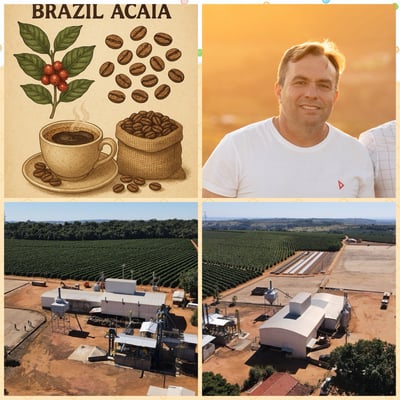 《老巴傳奇咖啡：巴西 米納斯吉拉斯州 好望角莊園 Acaia 阿卡依 珍稀品種 蜜處理咖啡：🌞陽光蜜果🍬》2