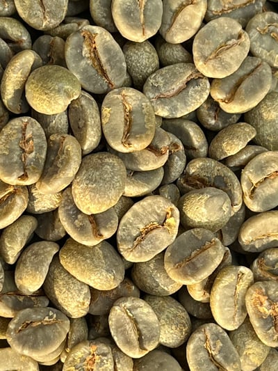 熊團長每月特惠咖啡｜巴西 查帕鐺莊園/巧克力森巴 日曬咖啡熟豆 (買一送一)4