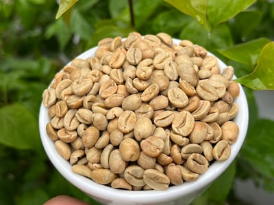 《特色風味咖啡系列： 墨西哥 Chiapas 恰帕斯州 Finca Guadalupe Zaju 瓜達盧佩･扎朱莊園 徳式管理 草莓日曬特色批次—萄莓果凍》10