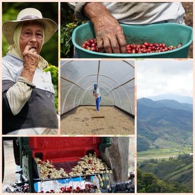 中秋圓滿｜比熊濾掛式咖啡禮盒20入6